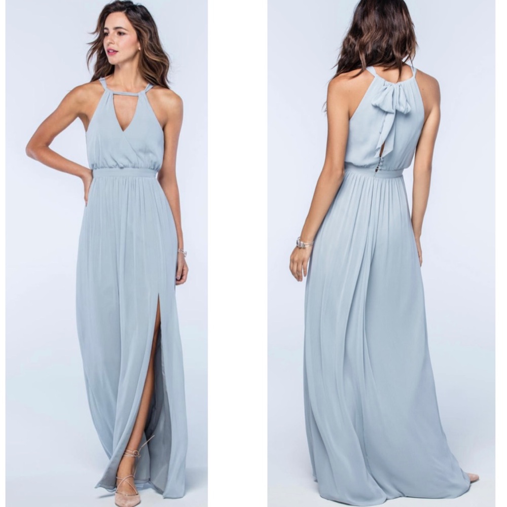 New Watters Fleurette Chiffon Dress